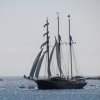 Tall Ship Race 2018