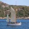 Tall Ship Race 2018