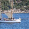Tall Ship Race 2018