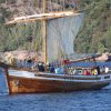 Tall Ship Race 2018