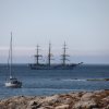 Tall Ship Race 2018