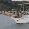 Tall Ship Race 2018